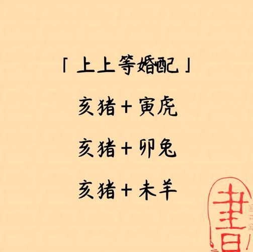 女属猪和什么属相最配_女猪婚配宜忌