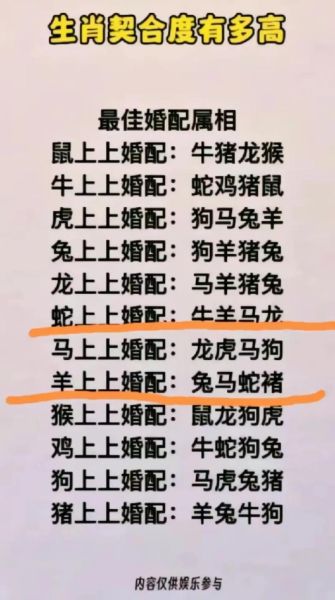 猪狗属相相配吗_猪狗婚姻能长久吗