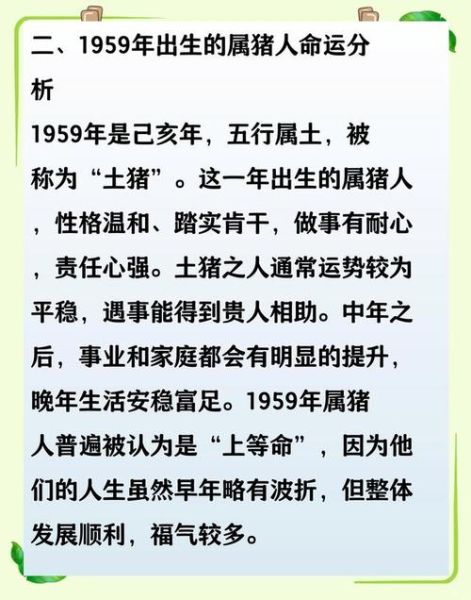 属猪的人命运好不好_属猪的性格优缺点