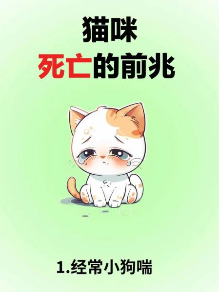 梦到死猫是什么意思_死猫梦境预示什么