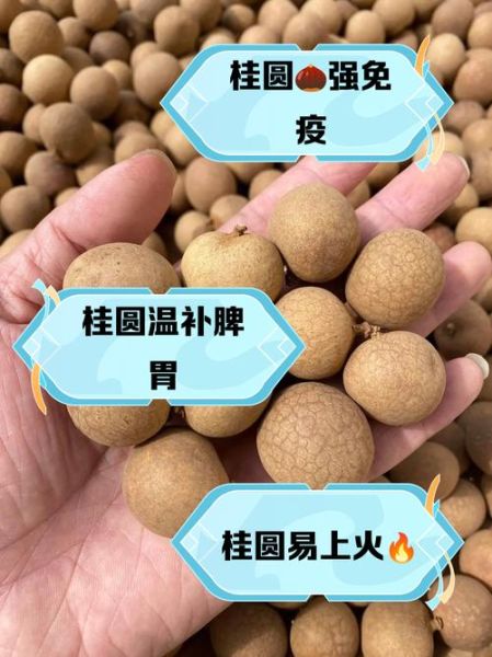 梦到吃桂圆是什么意思_孕妇梦见吃桂圆预示什么