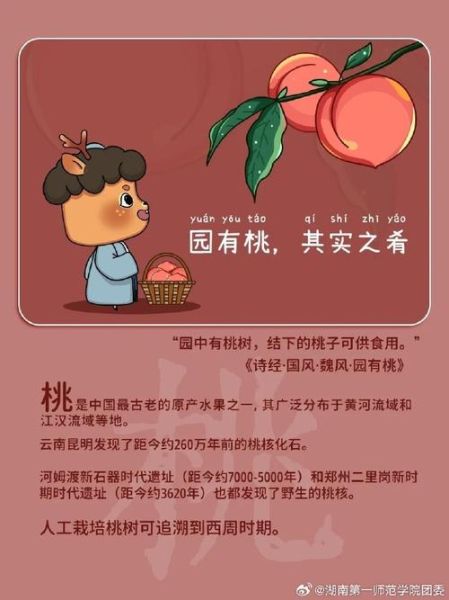 梦到桃子是什么意思_梦见桃子代表什么