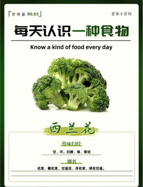 梦到西兰花是什么意思_梦见西兰花好不好