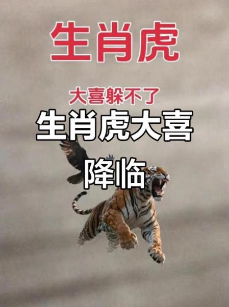 1986年属虎财运如何_2024年还能翻身吗