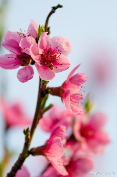 财运三签怎么解_财运三签求偏财准吗