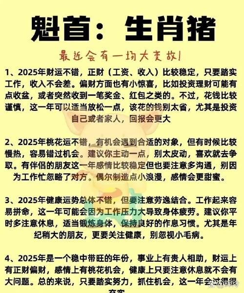 属猪今天财运方向_属猪今日财位在哪里