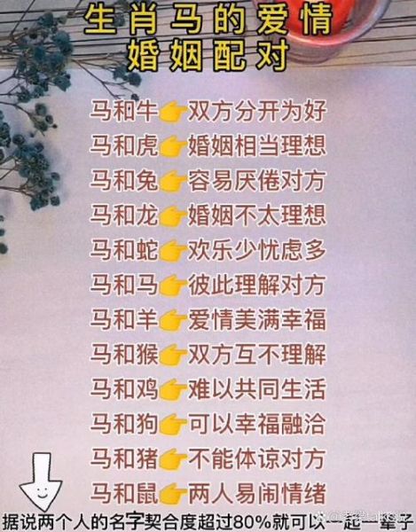 马与什么属相相合_属马最佳婚配属相