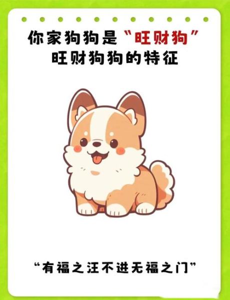 狗明日财运_如何提升狗狗财运