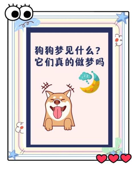 梦到小白狗是什么意思_小白狗梦境解析