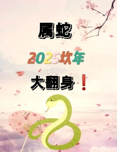 77年属什么生肖_77年出生的人今年多大