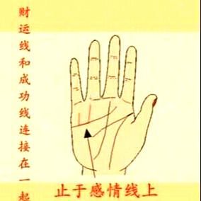 财运线怎么看_爱情线分叉怎么办
