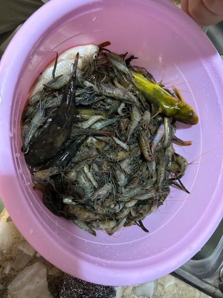 梦到抓鱼是什么意思_梦见抓鱼是吉兆吗