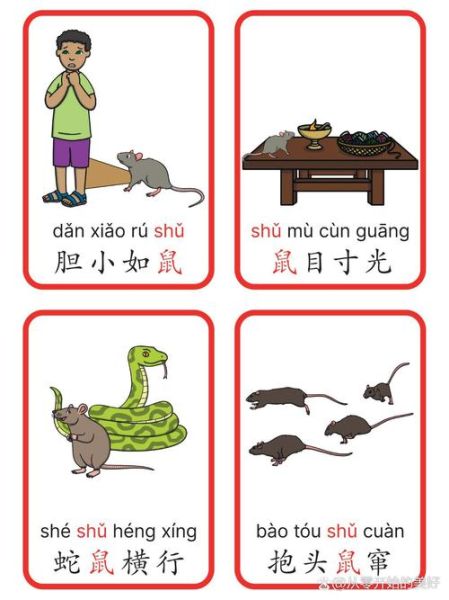 属相成语有哪些_如何用于SEO优化