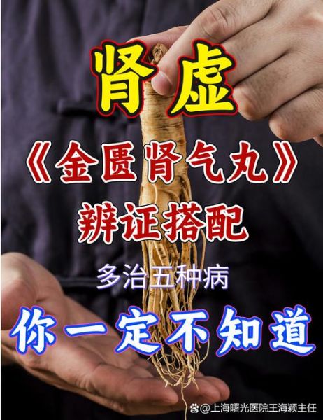 肾气足财运旺_肾气不足如何补