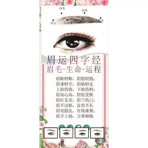 眉毛主什么运势_眉毛形状与命运关系