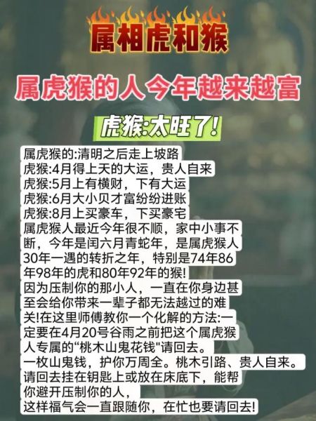 猴年属虎运势如何_猴年虎人财运怎么样