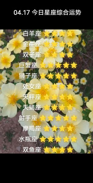 白羊座女生今日运势如何_白羊女今天适合做什么