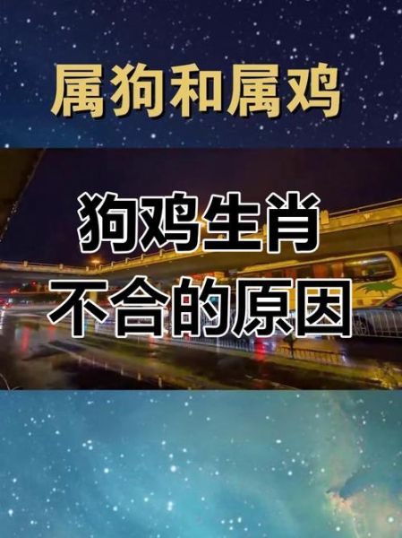 属狗和属鸡的婚姻相配吗_能过一辈子吗