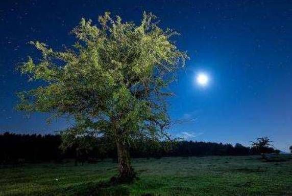 为什么总是梦到死人_梦到死人预示什么