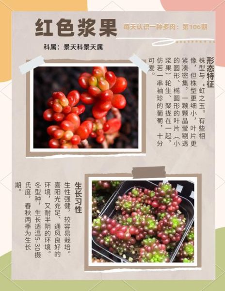 梦到红果是什么意思_红果梦境解析