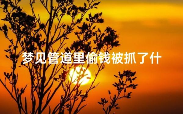 梦见偷钱是什么意思_梦到偷别人钱好不好