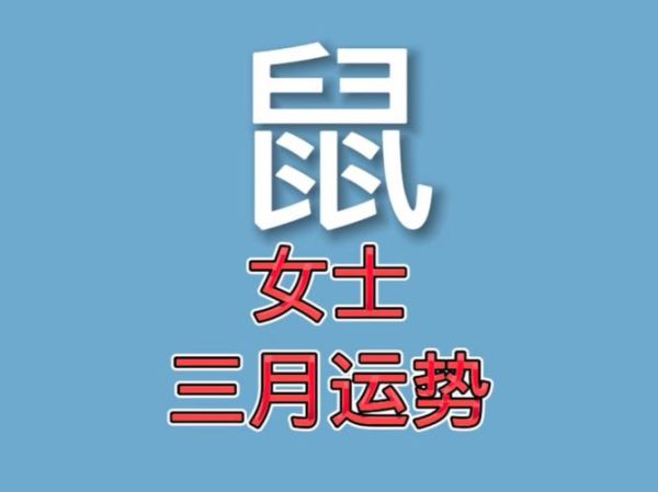 鼠女明日运势_如何提升财运