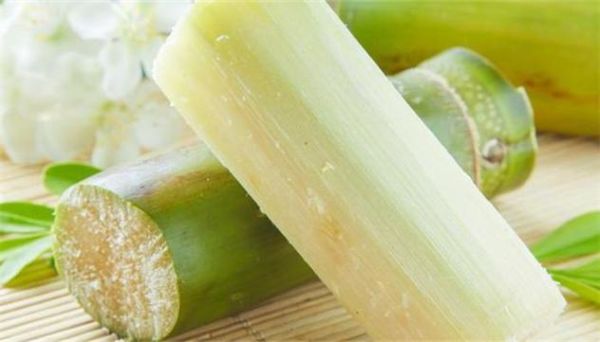 孕妇梦到甘蔗是什么意思_孕妇梦见甘蔗生男生女