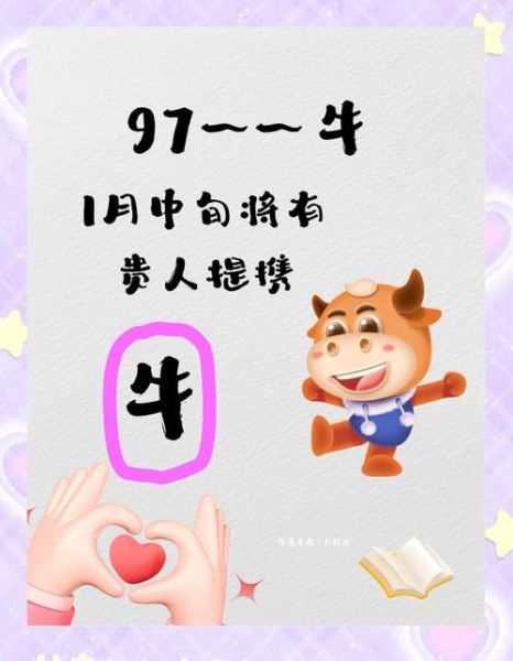 97年属牛财运如何_97年出生今年财运好吗