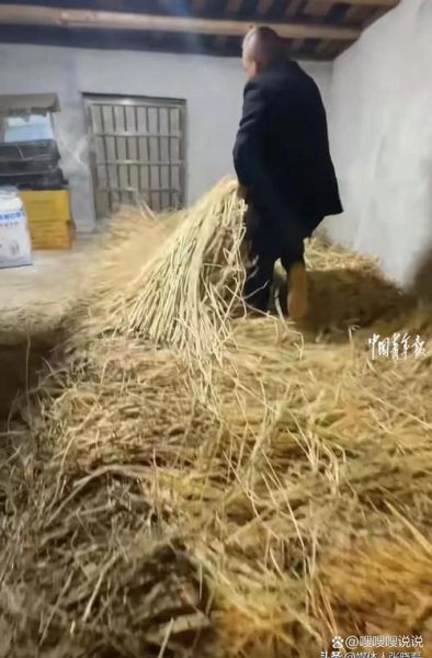 梦到稻草是什么意思_稻草在梦中的象征意义