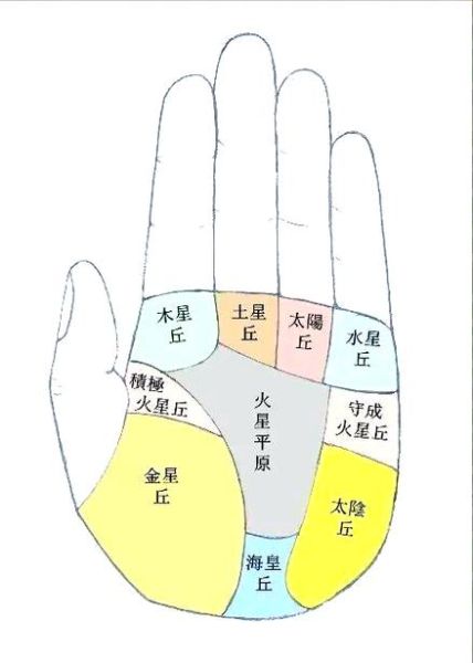 太阳丘财运线怎么看_太阳丘财运线代表什么