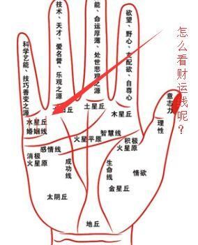 财运线表示什么_财运线怎么看图解