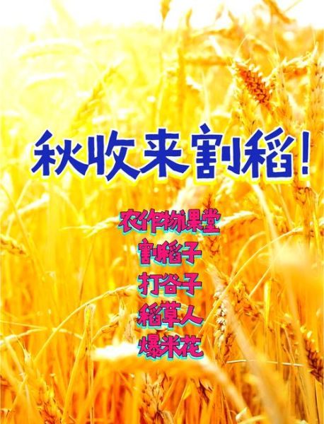 梦到秋收是什么意思_梦见秋收有什么预兆