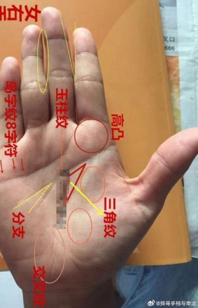 食指长财运_食指长的人真的有钱吗