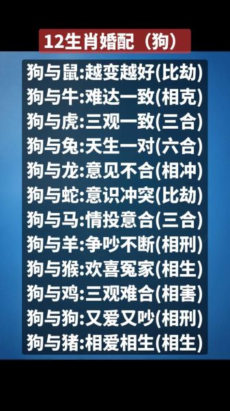 狗女和什么属相最配_狗女婚姻最佳配对