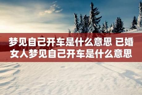 梦到开车是什么意思_梦见自己开车失控