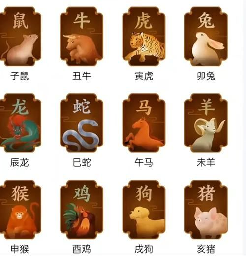 硬的属相有哪些_硬的生肖性格特点