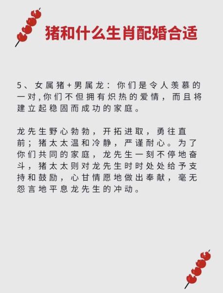 女属猪和什么属相最配_女属猪婚配禁忌