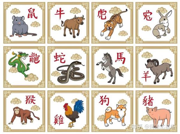 狗属相后面是什么属相_猪年运势如何