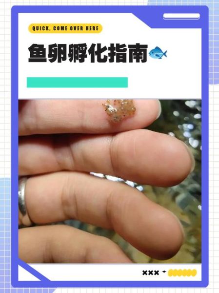 梦到鱼卵是什么意思_鱼卵梦境解析