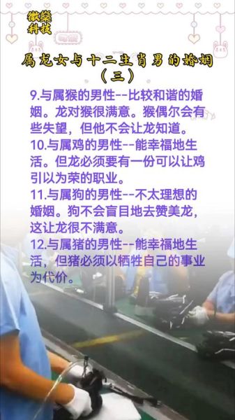 龙和什么属相最配_龙婚配禁忌