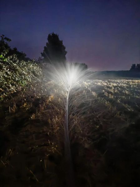 梦到在浇地是什么意思_梦见浇地水很大好不好