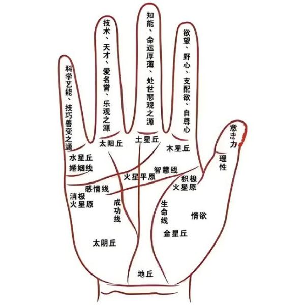 偏财运旺手相有哪些_怎么看手相有偏财运