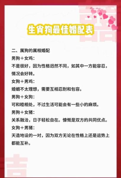 狗婚配属相禁忌_狗和什么属相最配