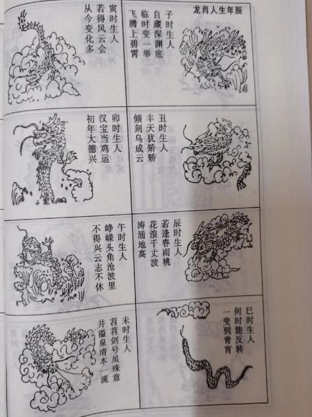 属龙几点出生最好_属龙人出生时辰命运