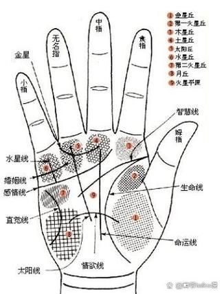 财运线深长代表什么_财运线深长好不好