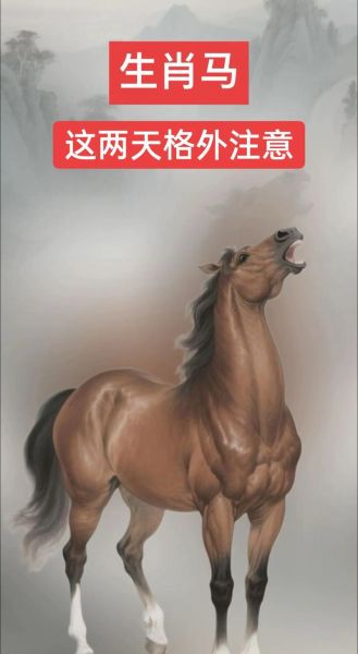 1978年属什么生肖_1978年属马今年多大