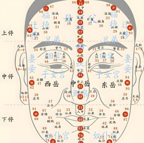 面部年龄运势怎么看_面部年龄运势真的准吗