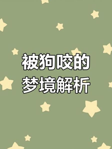 梦到被狗追是什么意思_梦见狗追杀自己预示什么