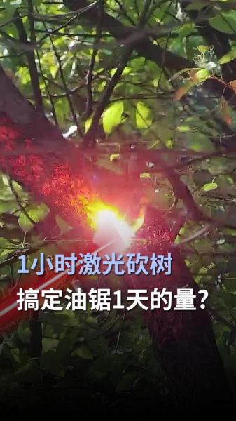 梦到别人砍树是什么意思_砍树梦境解析