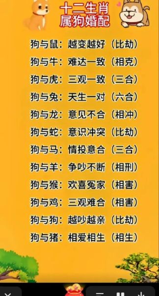 虎和狗合不合_属虎属狗婚姻配对